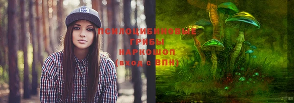 прущая мука Алексин