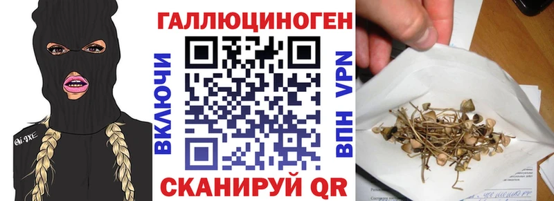 Псилоцибиновые грибы MAGIC MUSHROOMS Змеиногорск
