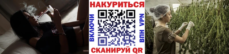 MEGA ONION  закладка  Змеиногорск  Канабис марихуана 